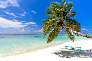 Bakir tropik beach Maldivler. Yaz seyahat tatil tatil arka plan kavramı