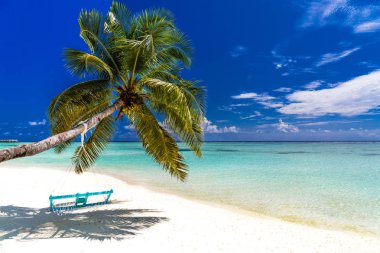 Bakir tropik beach Maldivler. Yaz seyahat tatil tatil arka plan kavramı