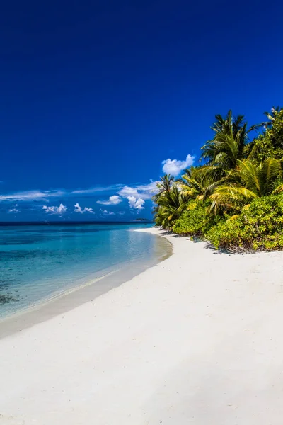 Belle palme e spiaggia tropicale. Cielo blu fangoso e laguna blu. Viaggio di lusso vacanza estiva concetto di sfondo . — Foto Stock