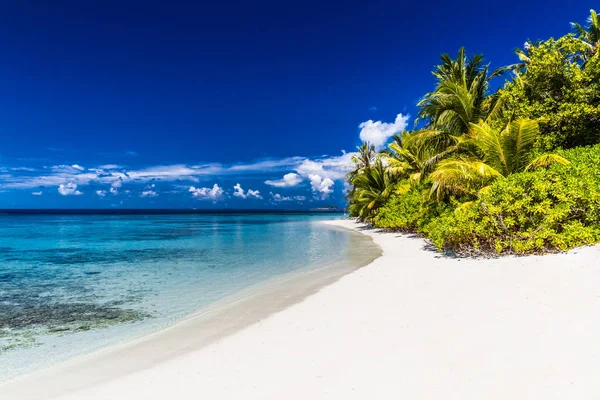 Plage tropicale intacte aux Maldives. Voyage d'été vacances concept de fond de vacances — Photo