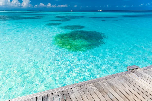 Over water bungalows on a tropical island with palm trees and amazing beach in Maldives. Summer travel holiday background. — Stock Photo, Image