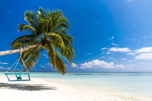 Den tropiske uberørte stranden i Maldivene. Sommerferiebakgrunnskonseptet – stockfoto