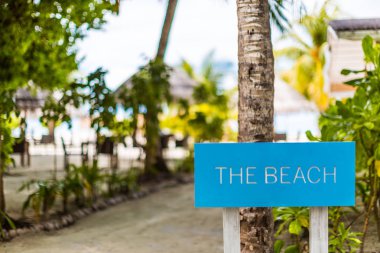 Tropikal sahne tabelada ahşap beach.