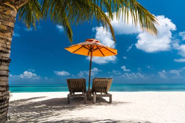 Güzel bir plaj yaz seyahat güneş ile Hindistan cevizi ağacı ve plaj kum güzel mavi deniz ve mavi gökyüzü ile ahşap yatak için arka plan. Yaz ruh güneş plaj arka plan kavramı.