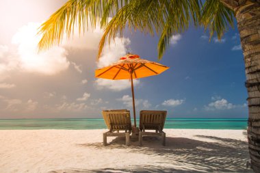 Güzel bir plaj yaz seyahat güneş ile Hindistan cevizi ağacı ve plaj kum güzel mavi deniz ve mavi gökyüzü ile ahşap yatak için arka plan. Yaz ruh güneş plaj arka plan kavramı.