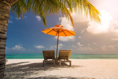 Güzel bir plaj yaz seyahat güneş ile Hindistan cevizi ağacı ve plaj kum güzel mavi deniz ve mavi gökyüzü ile ahşap yatak için arka plan. Yaz ruh güneş plaj arka plan kavramı.