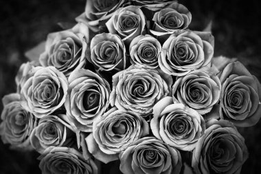 Muhteşem düğün buket gül bush, Sevgiliye romantik arka plan ile. Siyah ve beyaz filtre.