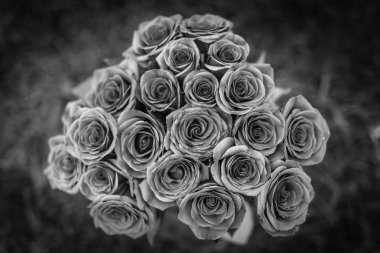 Muhteşem düğün buket gül bush, Sevgiliye romantik arka plan ile. Siyah ve beyaz filtre.