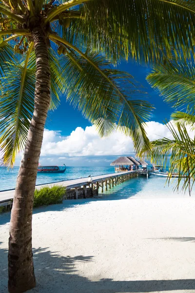 Tranquil Beach Scene Exotic Tropical Beach Landscape Background Wallpaper Design — Stock Photo, Image