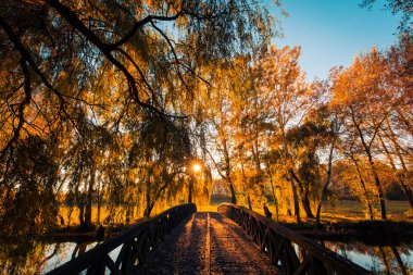 Güzel sonbahar manzara. Sonbahar ağaçlar, yapraklar bir ahşap köprü ile. Golden sunset ve güneş ışığı ile yumuşak sonbahar renk, sonbahar ağaç ve siluet.