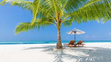 Güzel yaz plaj tatil ve tatil kavramı. İlham verici tropikal plaj. Moody manzara