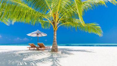 Güzel bir plaj. Sandalyeler denize yakın kumlu sahilde. Yaz tatil ve tatil kavramı. İlham verici tropikal plaj. Sakin sahne, plaj, tropikal peyzaj tasarımı rahatlatıcı. Moody manzara