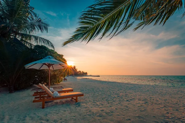 Strand Hintergrund. wunderschöne Strandlandschaft. tropische Naturlandschaft. Palmen und blauer Himmel. Sommerferien- und Ferienkonzept. inspirierender Strand. ruhige Landschaft, erholsamer Strand. Stimmungsvolle Landschaft — Stockfoto