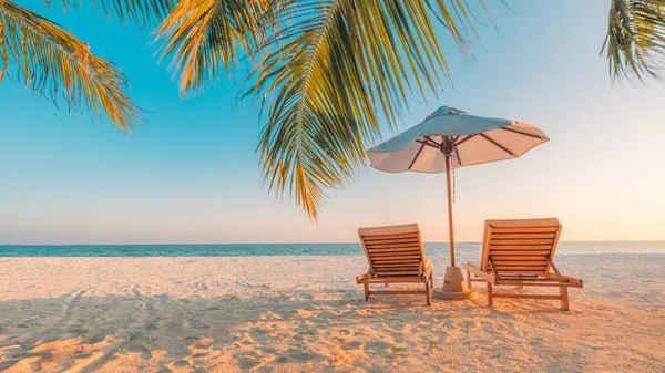 Perfect uitzicht op het strand. Zomervakantie en vakantie design. Inspirerend tropisch strand, palmbomen en wit zand. Rustige omgeving, ontspannend strand, tropisch landschapsontwerp. Moody landschap — Stockfoto
