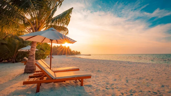 Beach background. Beautiful beach landscape. Tropical nature scene. Palm trees and blue sky. Summer holiday and vacation concept. Inspirational beach. Tranquil scenery, relaxing beach. Moody landscape Stock Photo