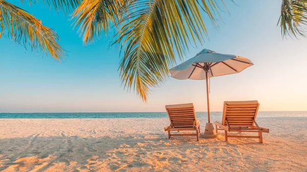 Perfect beach view. Summer holiday and vacation design. Inspirational tropical beach, palm trees and white sand. Tranquil scenery, relaxing beach, tropical landscape design. Moody landscape Stock Picture