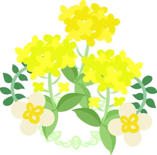 La hermosa Brassica — Vector de stock