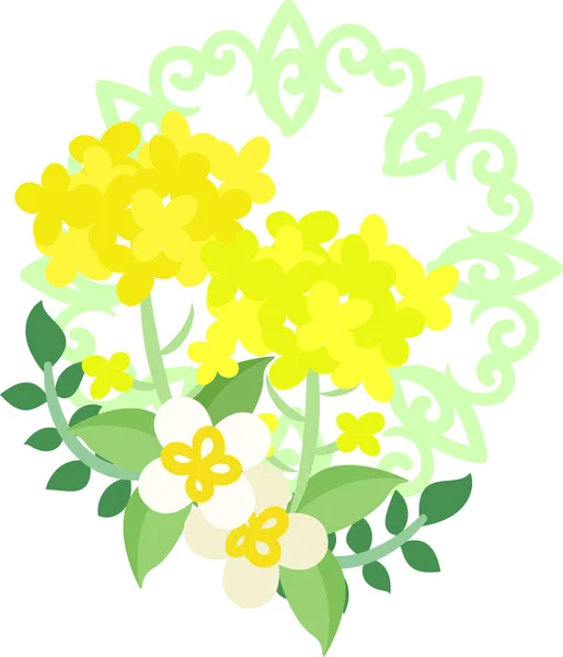 La hermosa Brassica — Vector de stock