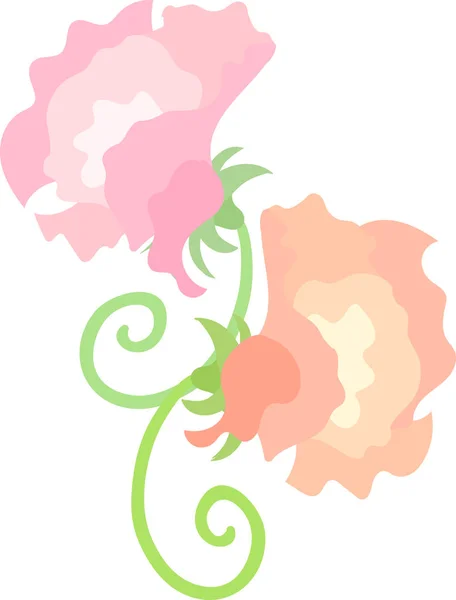 Tatlı bezelye, çizim