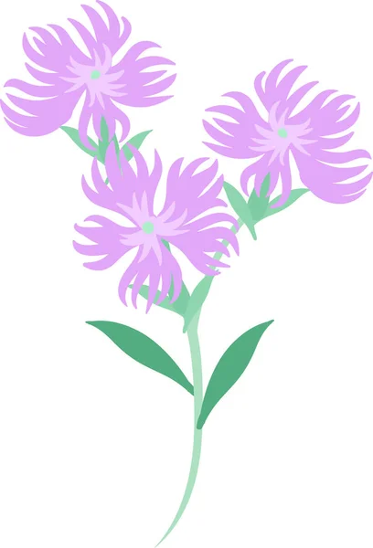 Εικονογράφηση Του Dianthus — Διανυσματικό Αρχείο