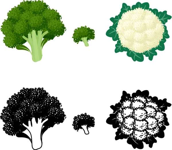 Die Niedlichen Ikonen Von Brokkoli Und Blumenkohl — Stockvektor