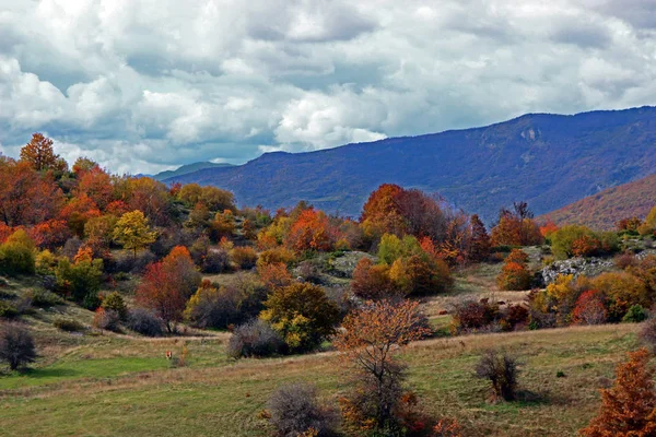 Осенние пейзажи в природе — стоковое фото