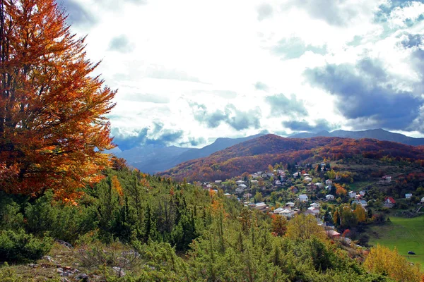 Herbstliche Szenen in der Natur — Stockfoto