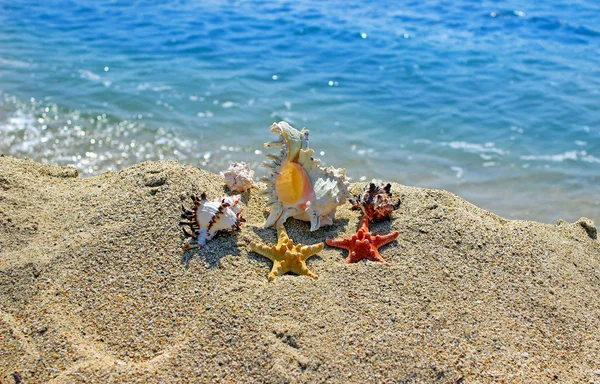 Sommer Strand — Stockfoto