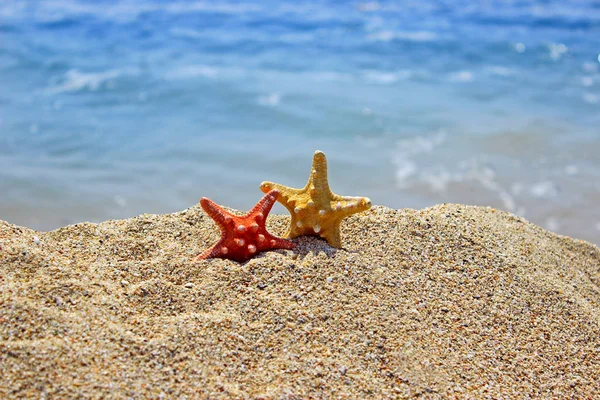 Summertime Beach — Stock Photo, Image