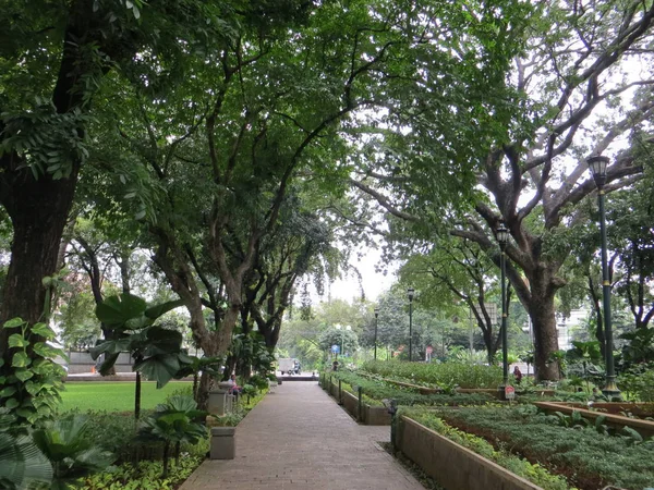 Taman Suropati, Jakarta. — Stockfoto