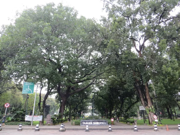 Taman Suropati. — Foto Stock