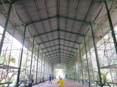 Jakarta, Endonezya - 24 Şubat 2017: gezi kuş kafesleri alanı Ragunan hayvanat bahçesi etrafında insanlar.