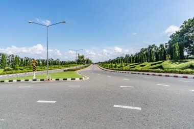 çam ağaçlarının Park