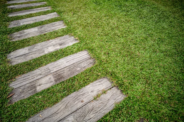 Chemin dans le parc — Photo