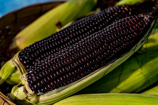 Imagen de Maíz púrpura — Foto de Stock