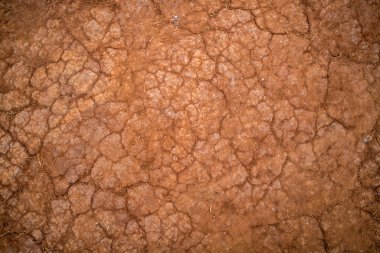 Kuru toprak çatlamak