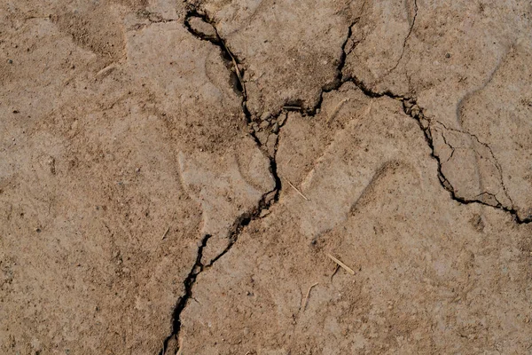 Crack dry soil — Stock Photo, Image