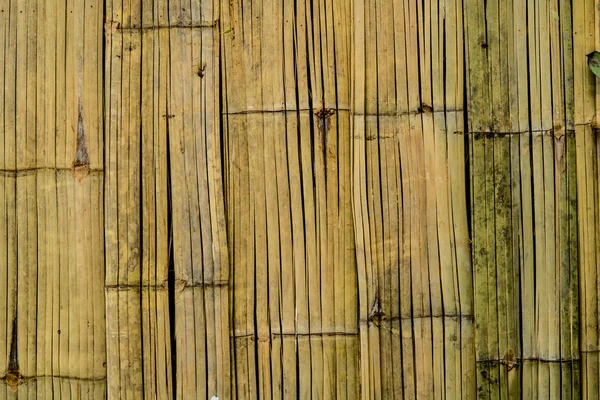 Textur der Bambusrinde — Stockfoto