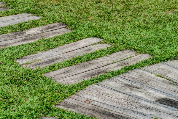 Chemin dans le parc — Photo