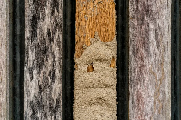 Termite damage on wooden fence — Stock Photo, Image