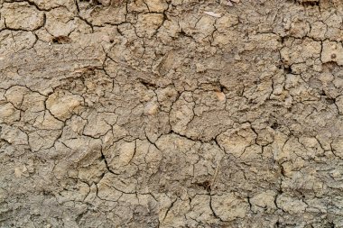 Kuru toprak çatlamak