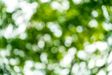 soyut doğa bulanıklık