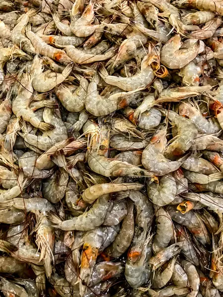 Φρέσκα ωμά γαρίδα, γαρίδες — Φωτογραφία Αρχείου
