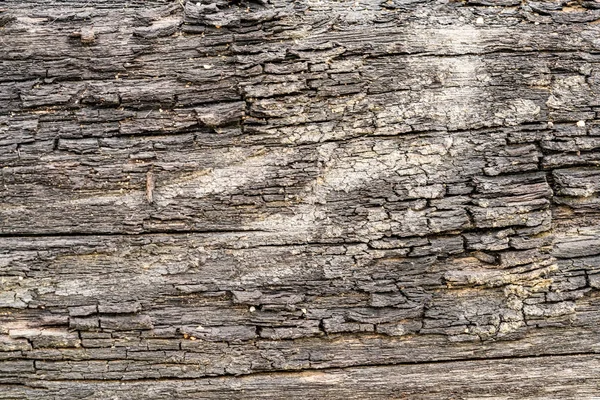 Textura de madeira marrom — Fotografia de Stock