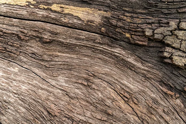 Brown Wood texture — Stock Photo, Image