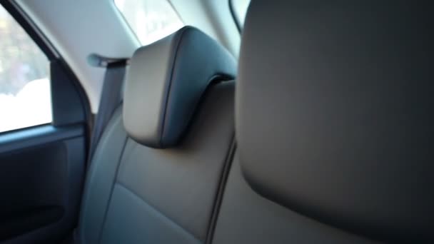 Seats in leather inside a car — Stock Video