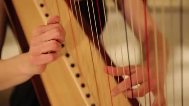 Muzikant speelt de harp — Stockvideo