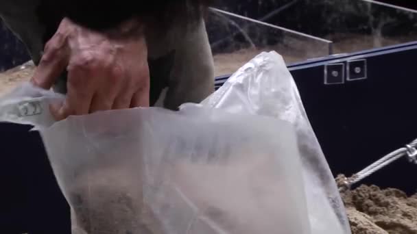 Arbeiter schüttet Sand — Stockvideo