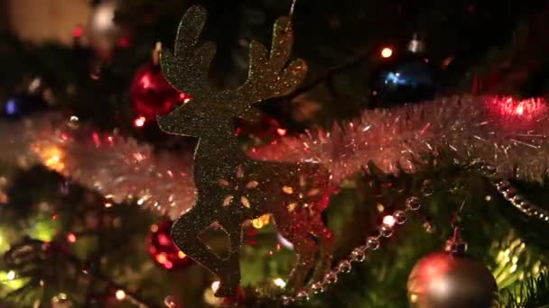 Ren geyiği ile Noel ışıkları — Stok video