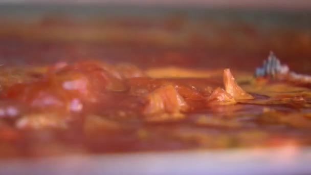 Sauckan Tomatsås Matlagning — Stockvideo